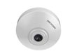 Intelligent Network Camera